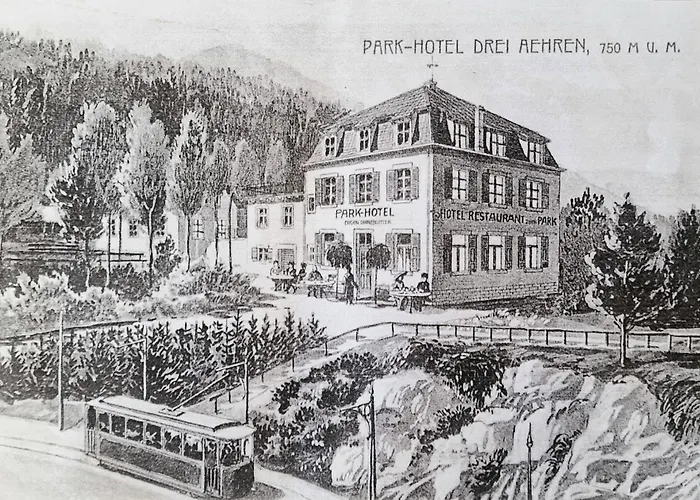 La Villa Du Parc - Alsace & Vosges