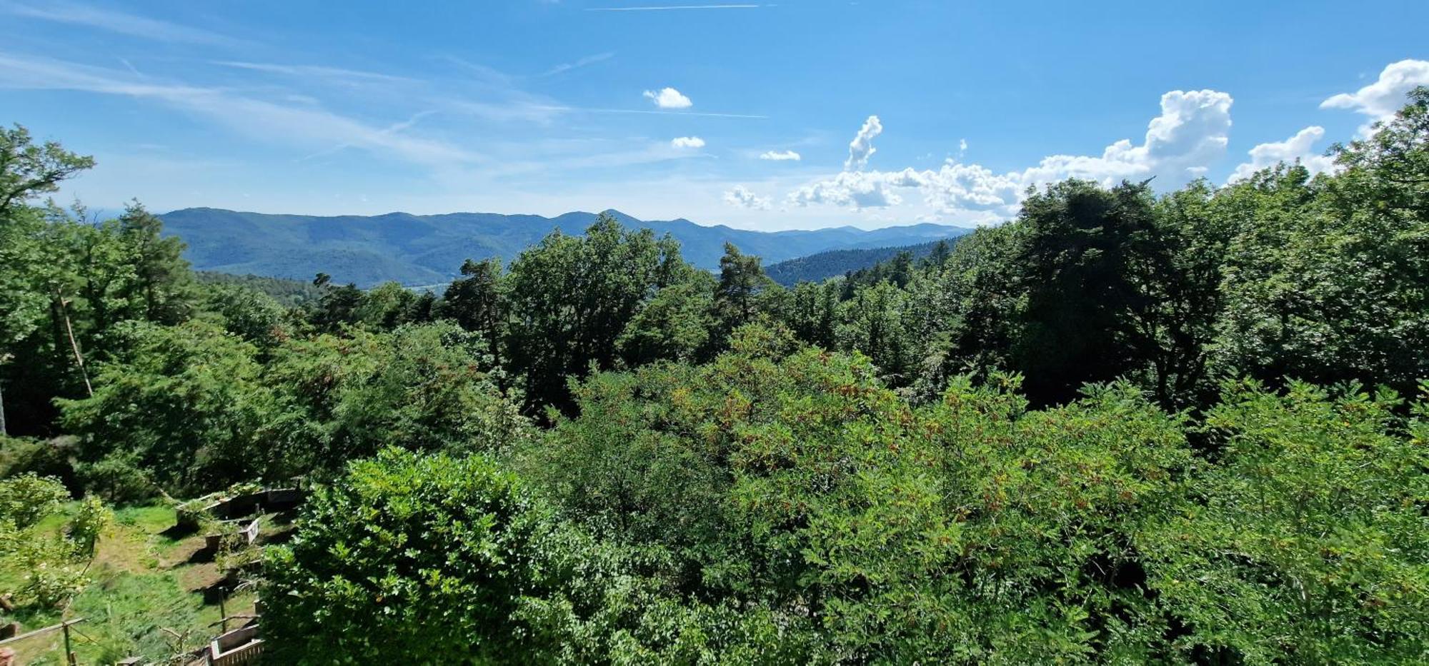 La Du Parc - Alsace & Vosges * Niedermorschwihr