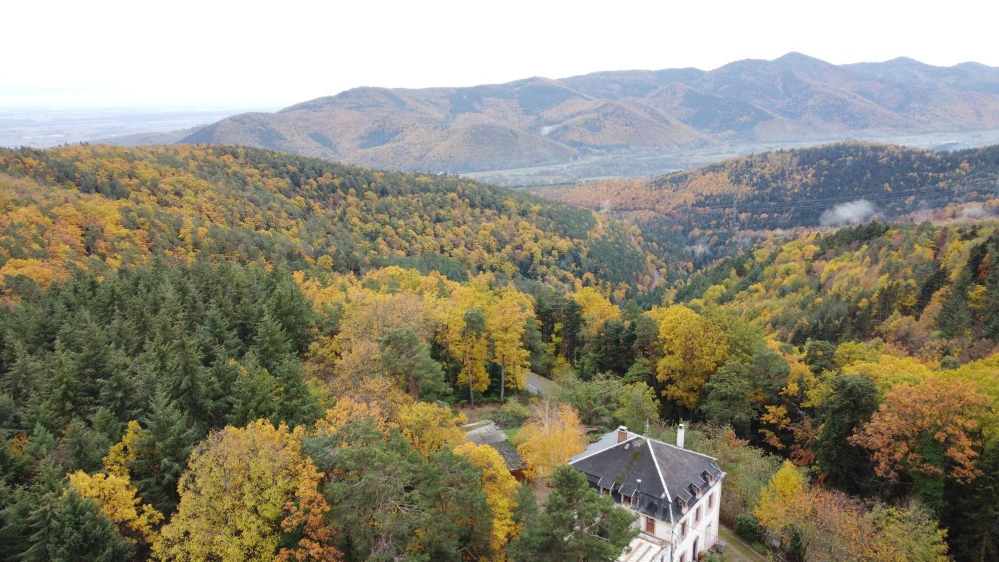 Appartement La Du Parc - Alsace & Vosges
