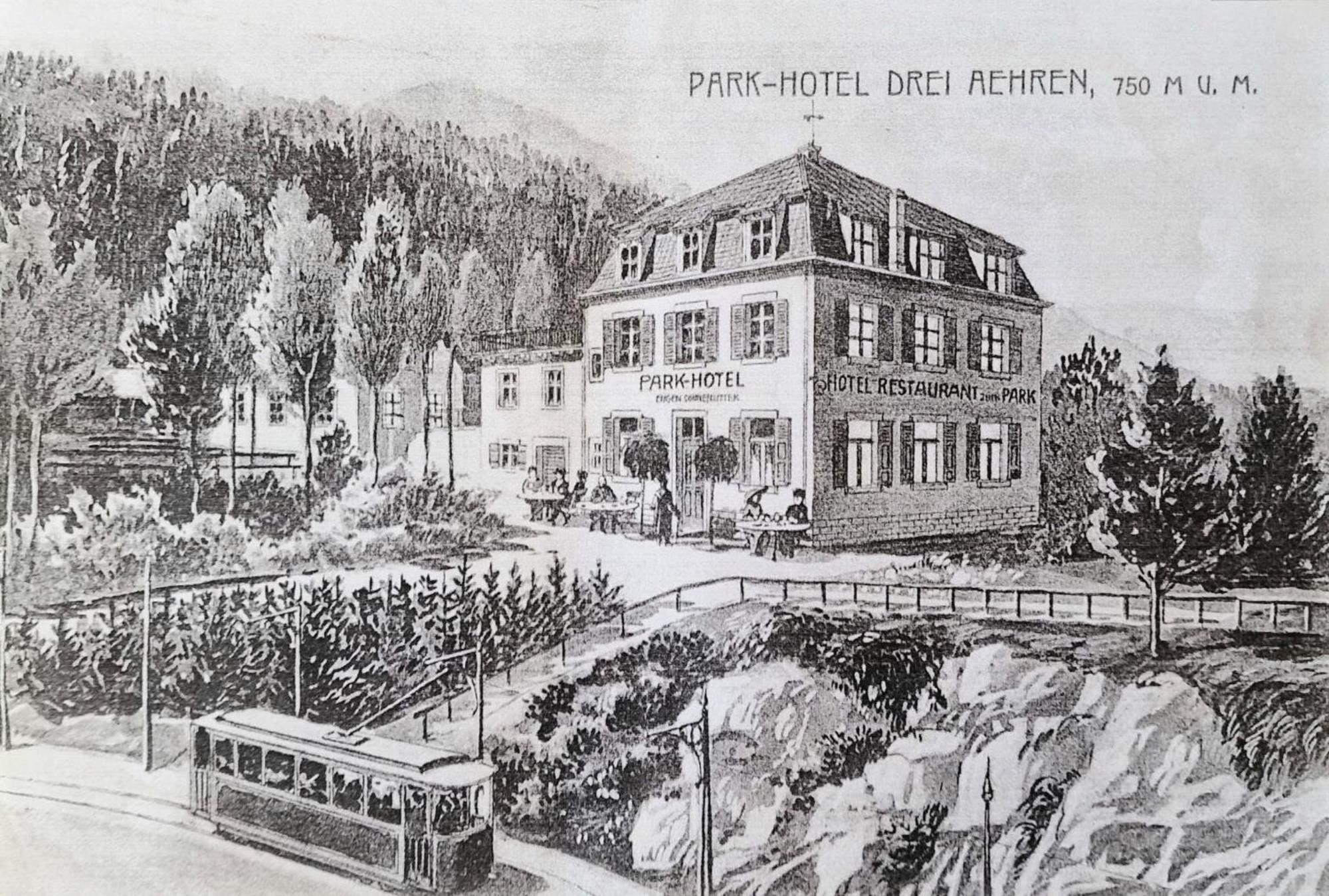Apartment La Du Parc - Alsace & Vosges *