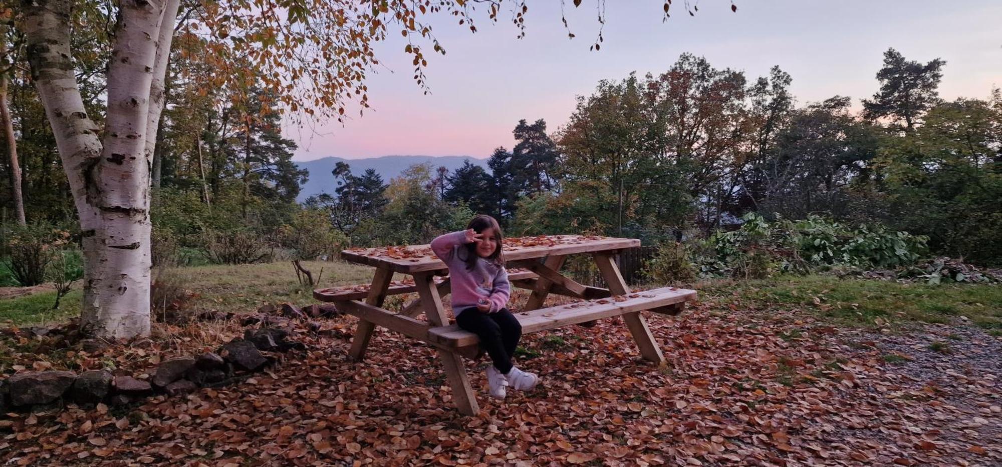 La Du Parc - Alsace & Vosges Appartement Niedermorschwihr