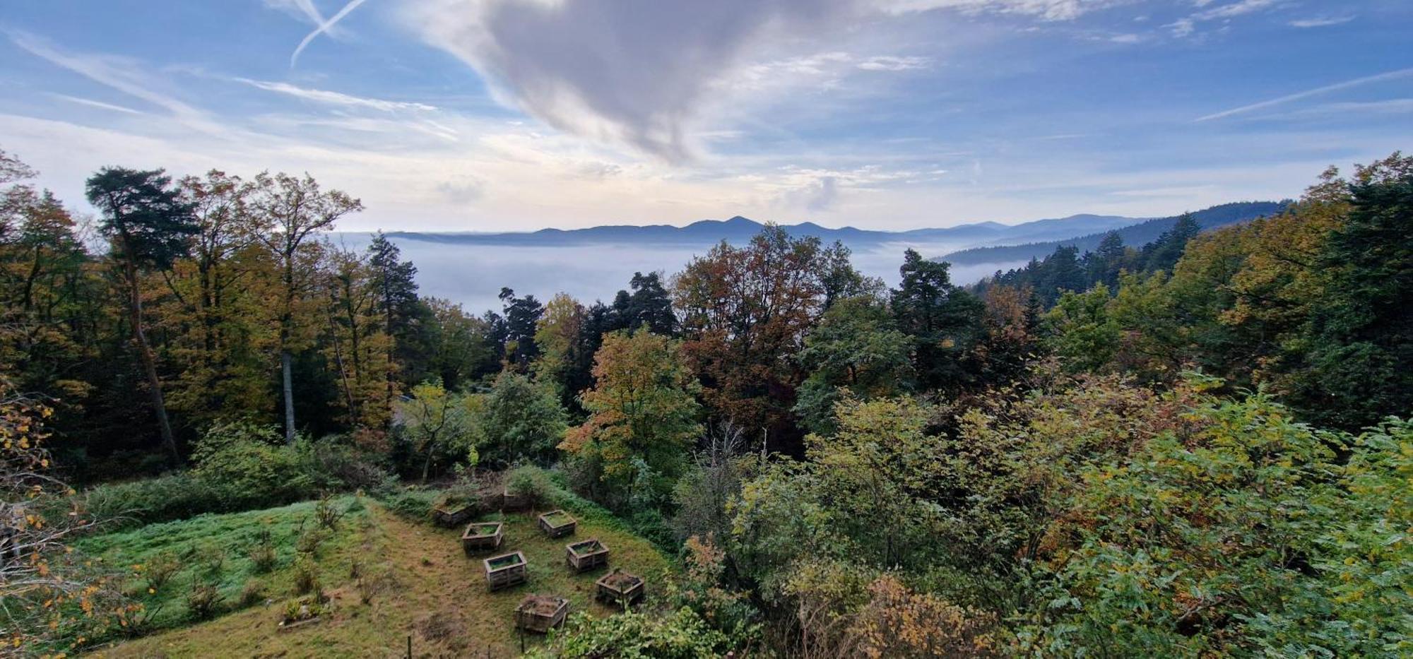 La Du Parc - Alsace & Vosges Niedermorschwihr